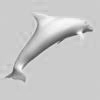 modello 3d delfino